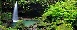 Dominica Naturerlebnisse