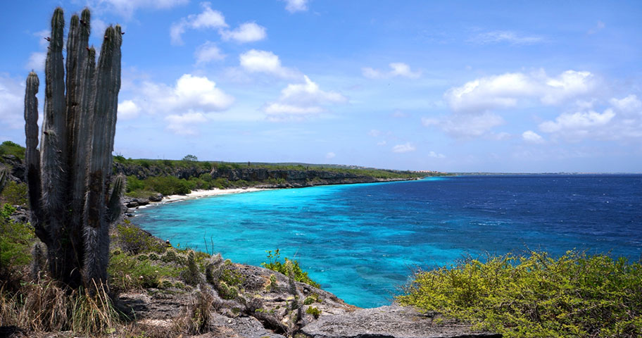 ABC Inseln Ferien - Bonaire ABC Inseln Ferien günstig buchen