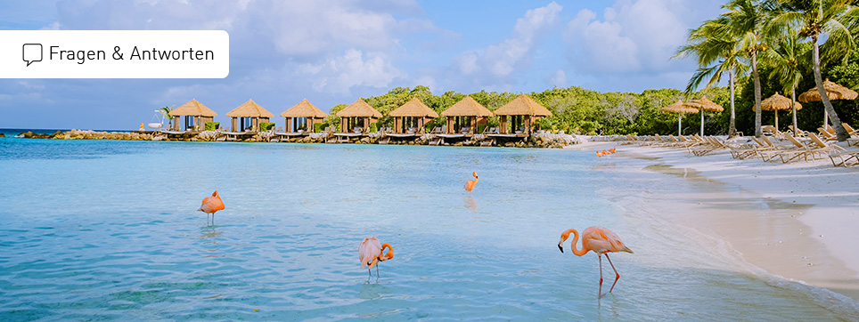 Aruba Ferien FAQ Aruba Reisen FAQ