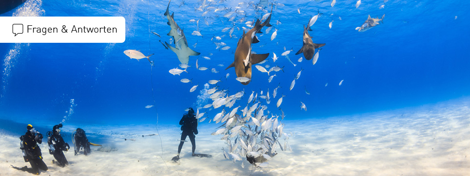 Bahamas Reisen FAQ Bahamas Ferien FAQ