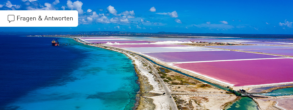 Bonaire Reisen FAQ Bonaire Ferien FAQ