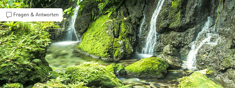 Dominica Ferien Fragen und Antworten Dominica Urlaub FAQ