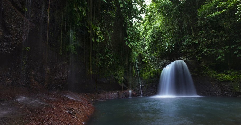 Guadeloupe Nationalpark Wasserfall Wandern Wildnis