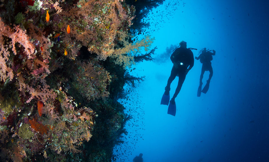 Kuba Tauchreise buchen korallenriff taucher