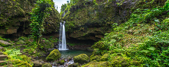 Tauchen Sie ein in die wilde Natur Dominicas
