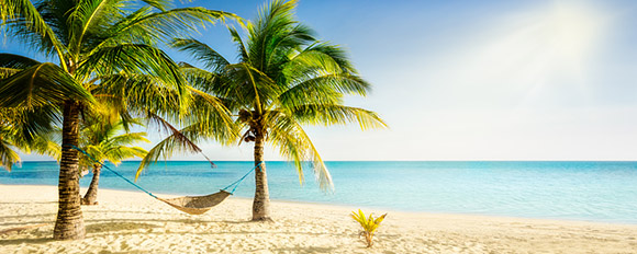 Wir bringen Sie an die schönsten Strände und Badeplätze der Paradiesinsel St. Martin
