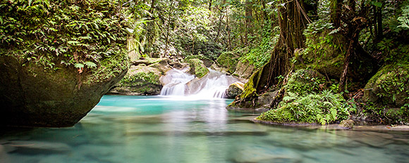 Entdecken Sie die atemberaubende Natur Jamaikas
