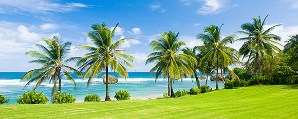 Länderinfos und Reisetipps zu Barbados vom Schweizer Spezialisten
