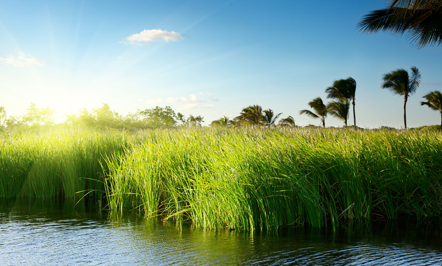 Dom Naturreisen buchen See Tropen