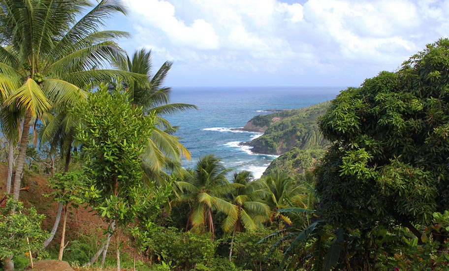 Naturparadies Dominica Urwald Meer Strand Trekkings 