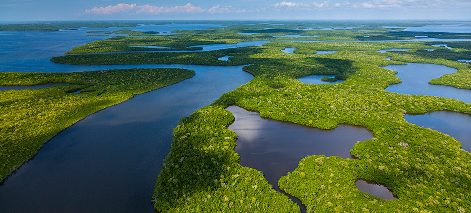 Everglades USA