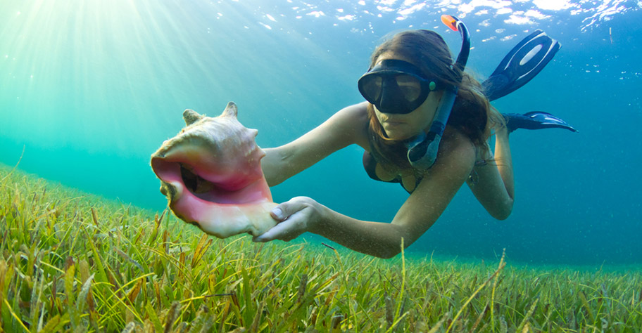 Guadeloupe Badeferien Schnorcheln Frau Unterwasser Paradies
