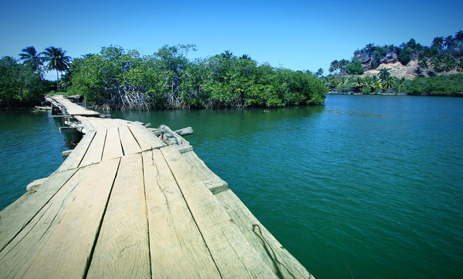 Naturreise Kuba Baracoa Nationalpark 