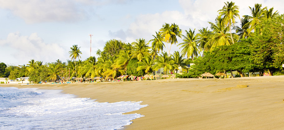 Turtle Beach Tobago Schildkröten 