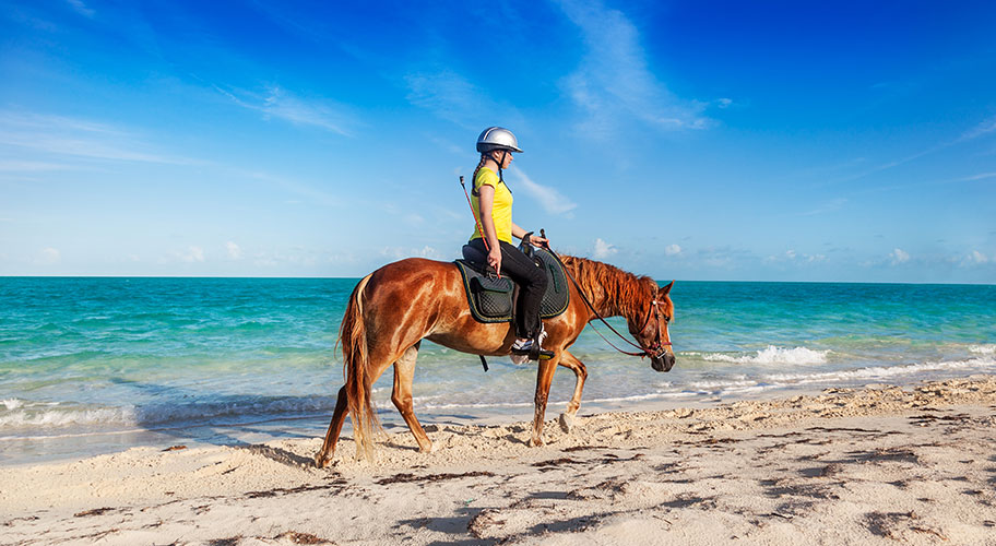 Turks Caicos Familien Ferien Reiten am Strand