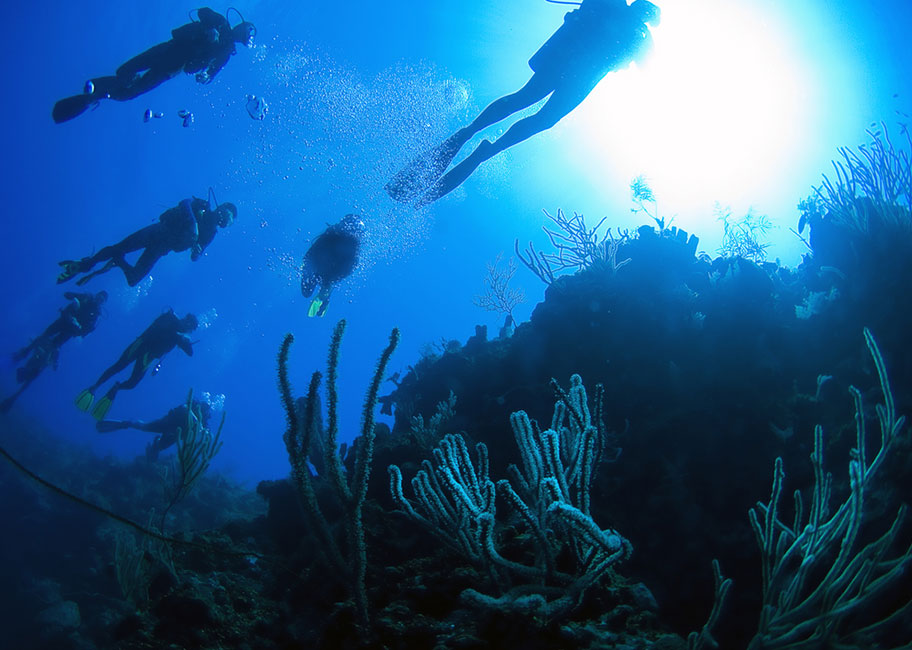 Turks Caicos Tauchen Korralenriff Taucher Tauchgruppe Fische