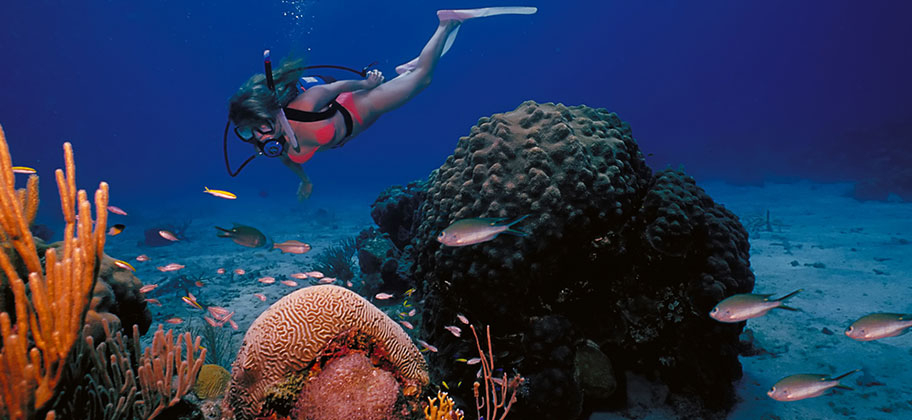 Virgin Islands Strandferien Tauchen Schnorcheln Korallen