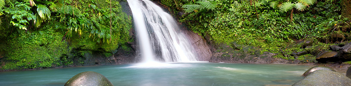 Guadeloupe Natur Erlebnisse