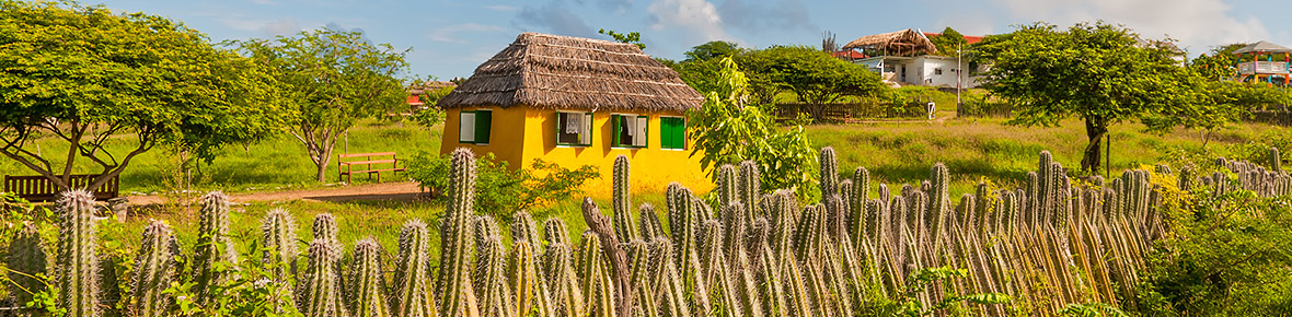 Bonaire Reisetipps